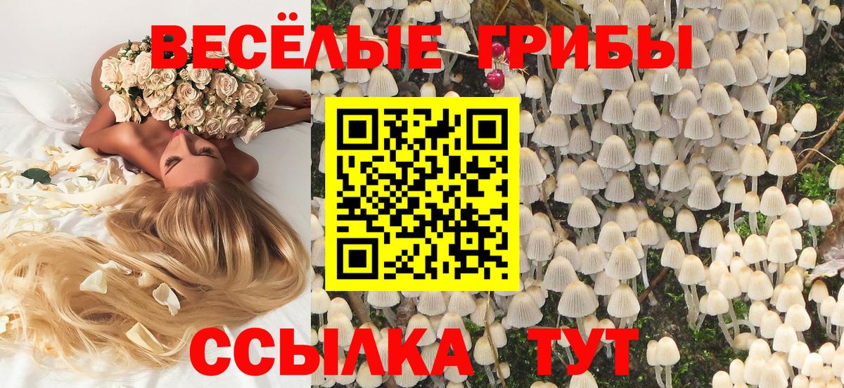 Галлюциногенные грибы мухоморы  Псилоцибиновые грибы прущие грибы  Южно-Сахалинск  закладки  Вход с VPN 