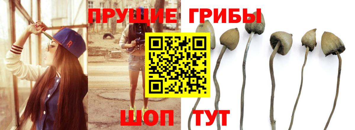 Галлюциногенные грибы GOLDEN TEACHER Южно-Сахалинск
